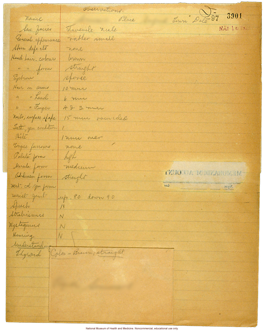 Seaford Town male anthropometric case: photo, measurements, finger prints, Schedule 3, notes; by Morris Steggerda for <i>Race Crossing in Jamaica</i>