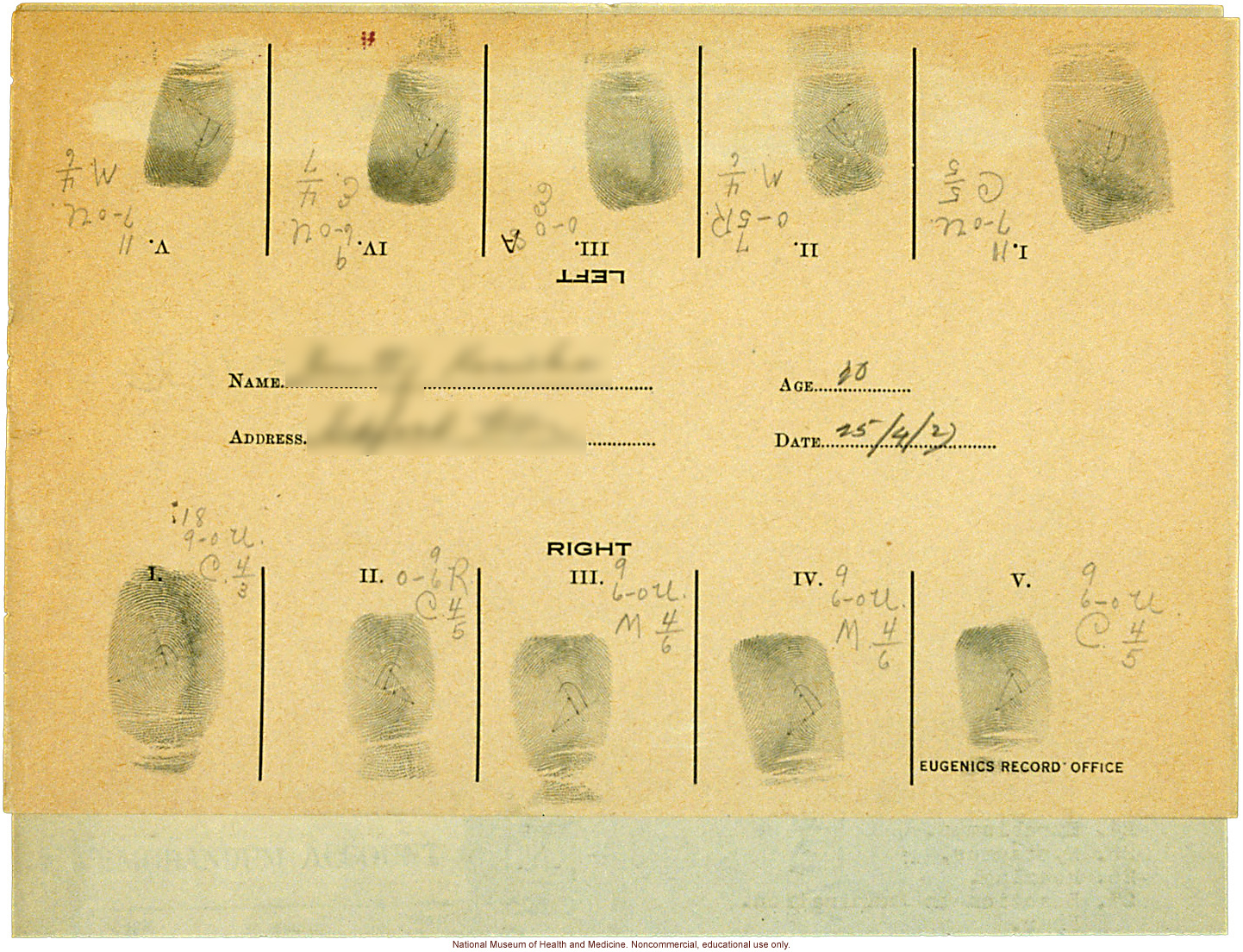 Seaford Town female anthropometric case: photos, measurements, finger prints, Schedule 3; by Morris Steggerda for <i>Race Crossing in Jamaica</i>