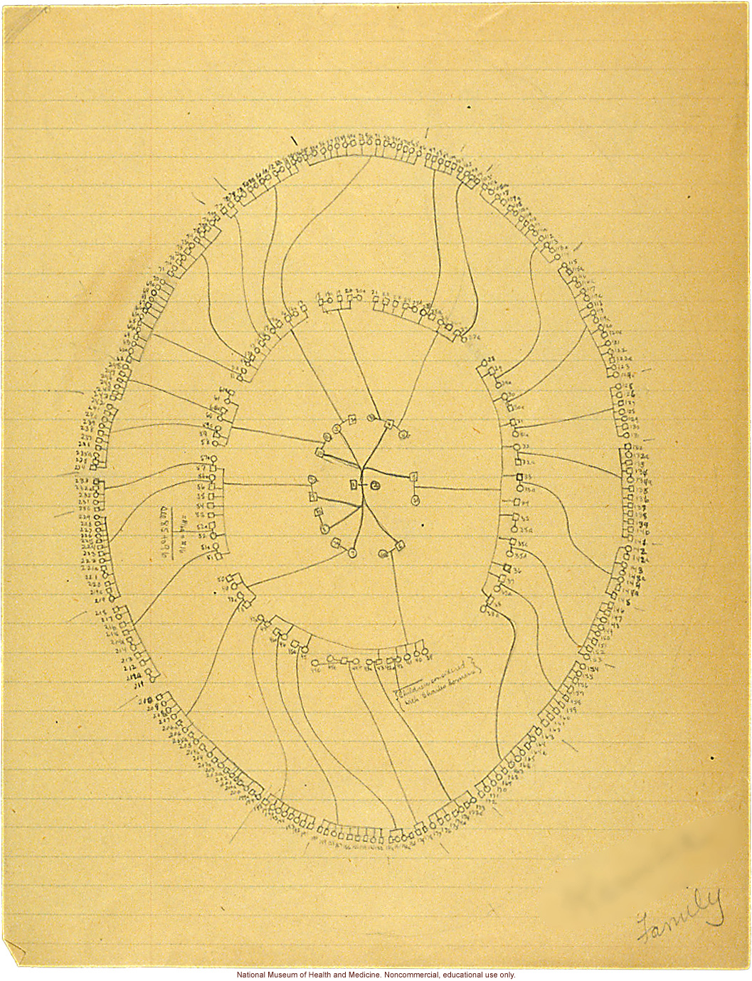 Seaford Town female anthropometric case: pedigree and inter-marriages, by Morris Steggerda for <i>Race Crossing in Jamaica</i>
