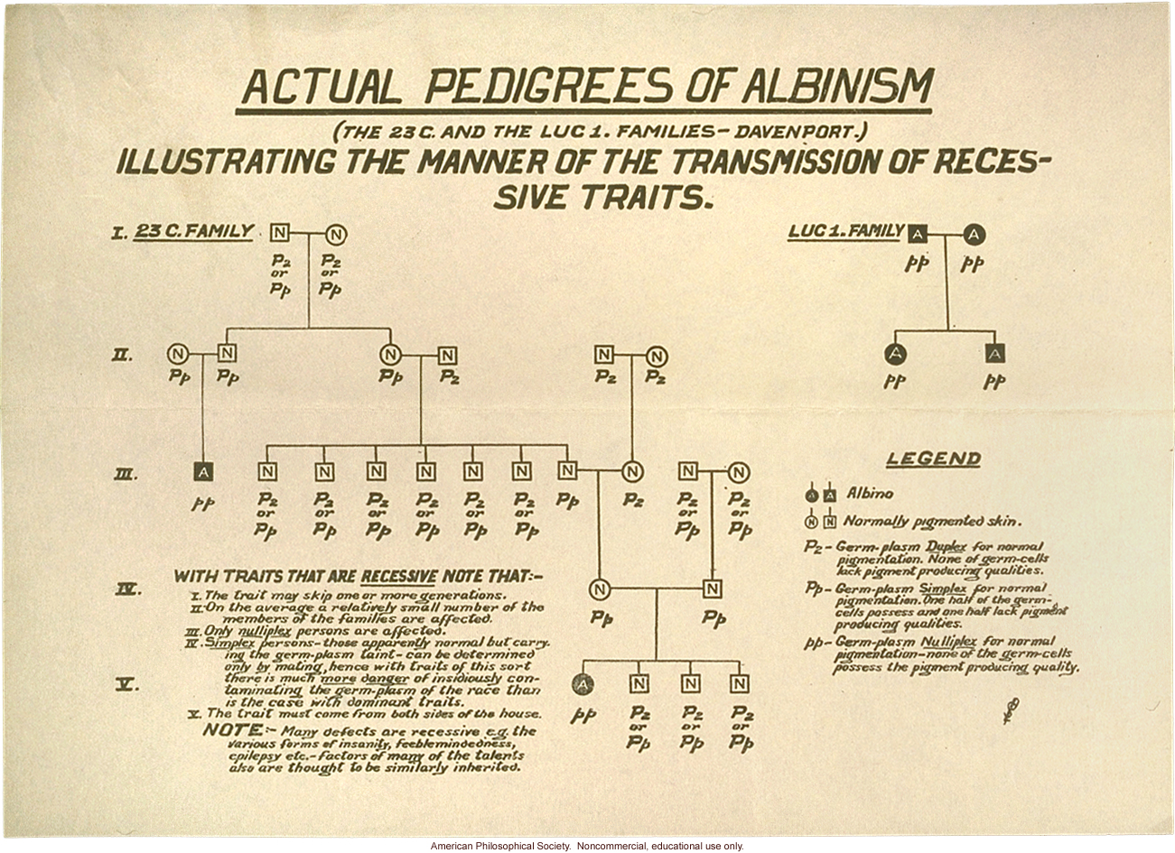 Albinism pedigree by Charles Davenport