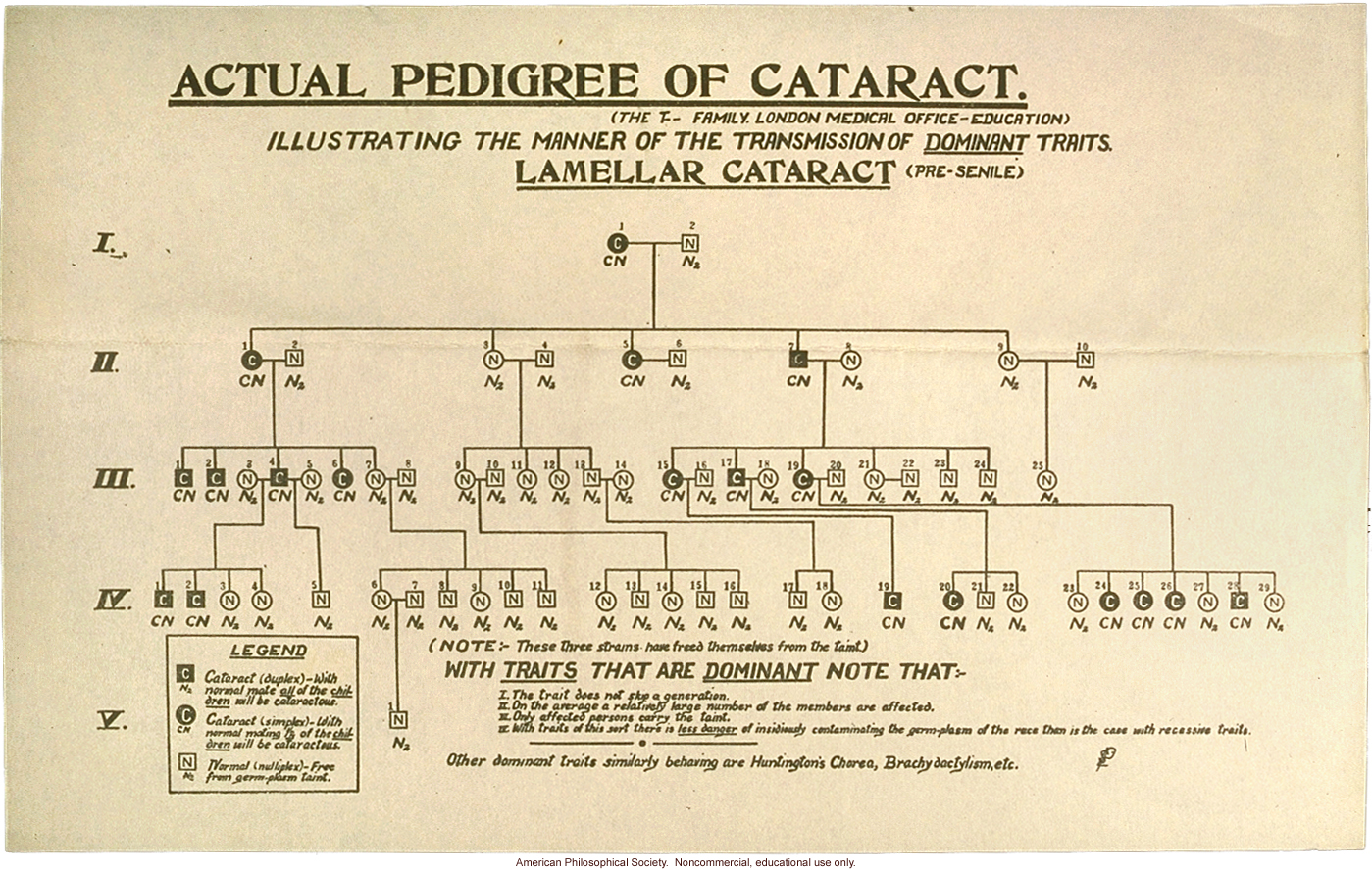Lamellar cataract pedigree by London Medical Office