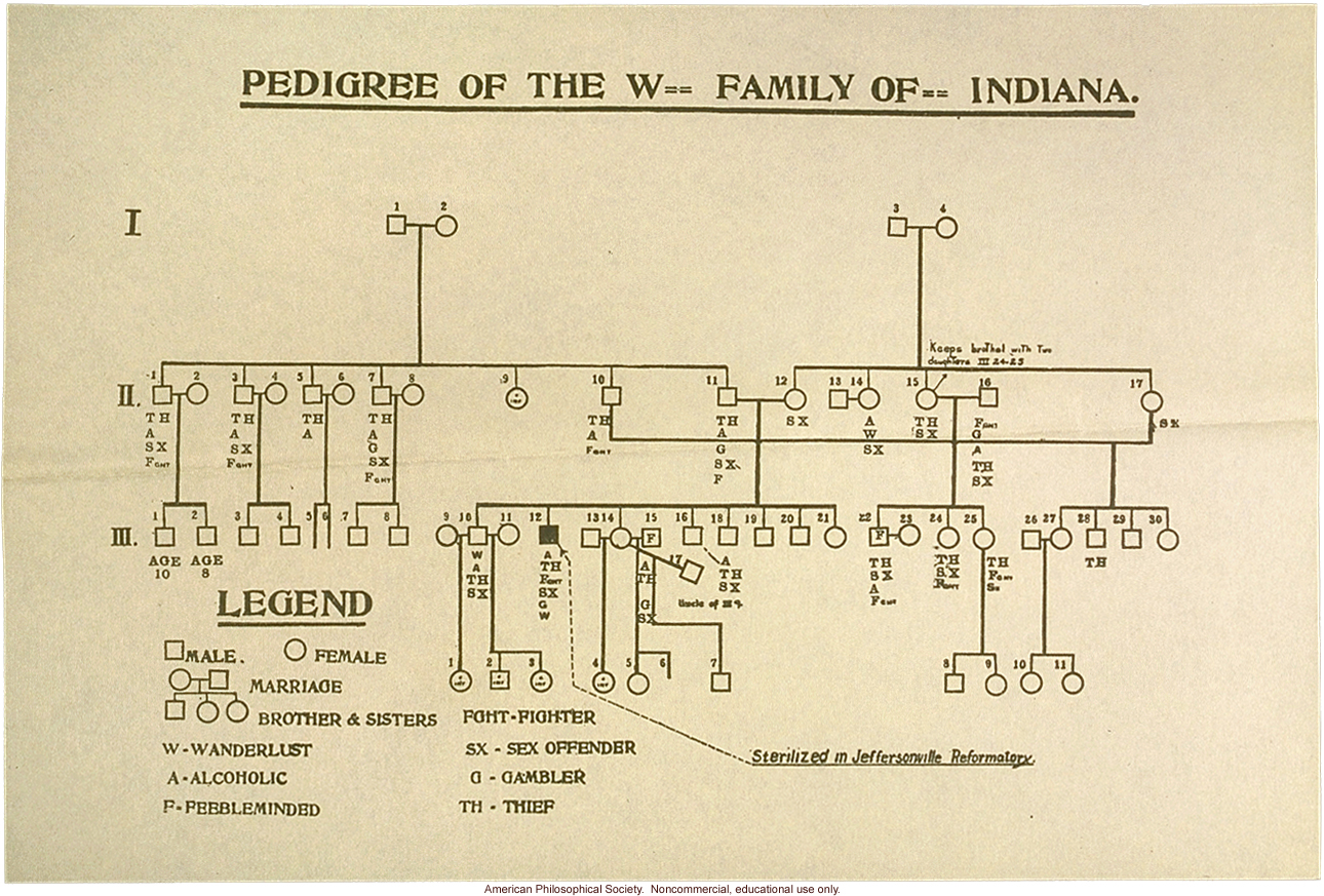 Pedigree of the W-- family of Indiana, a degenerate family in which one member was sterilized