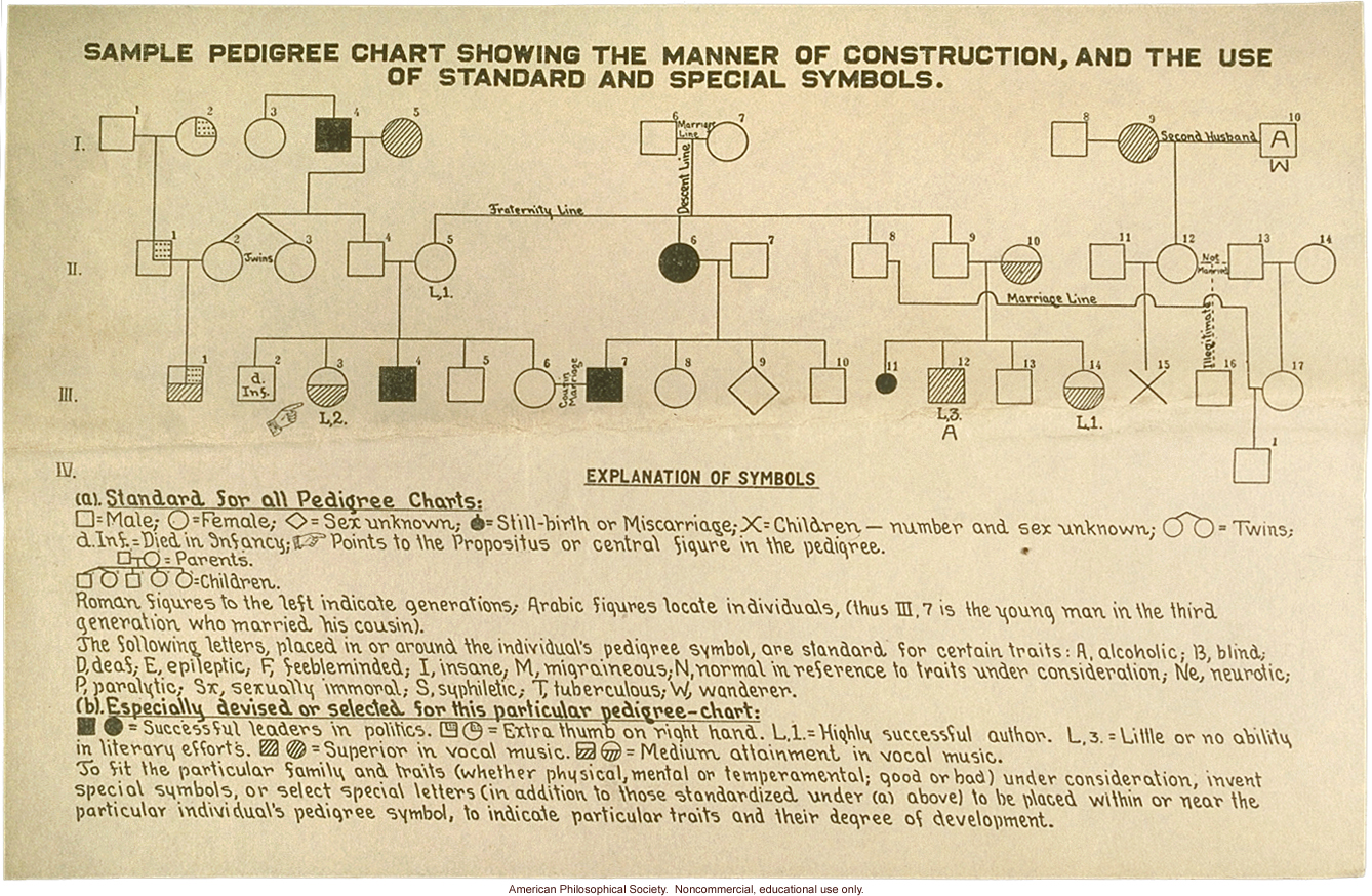 &quote;Sample pedigree chart showing the manner of construction&quote;