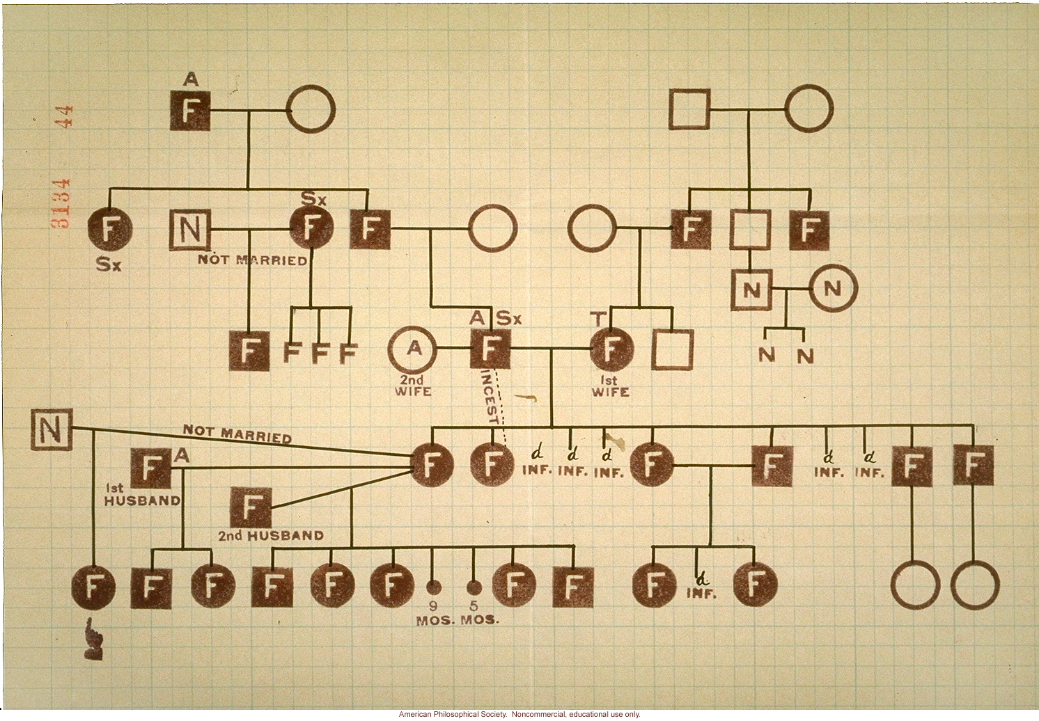 Pedigree for feeblemindedness