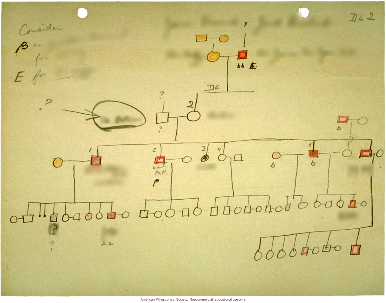 Degenerate family pedigree