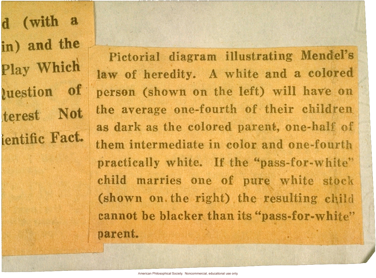 Carnegie Institution research 'disproving' &quote;the popular notion that a 'pass-for-white' person married to a pure white may have a negro child&quote;