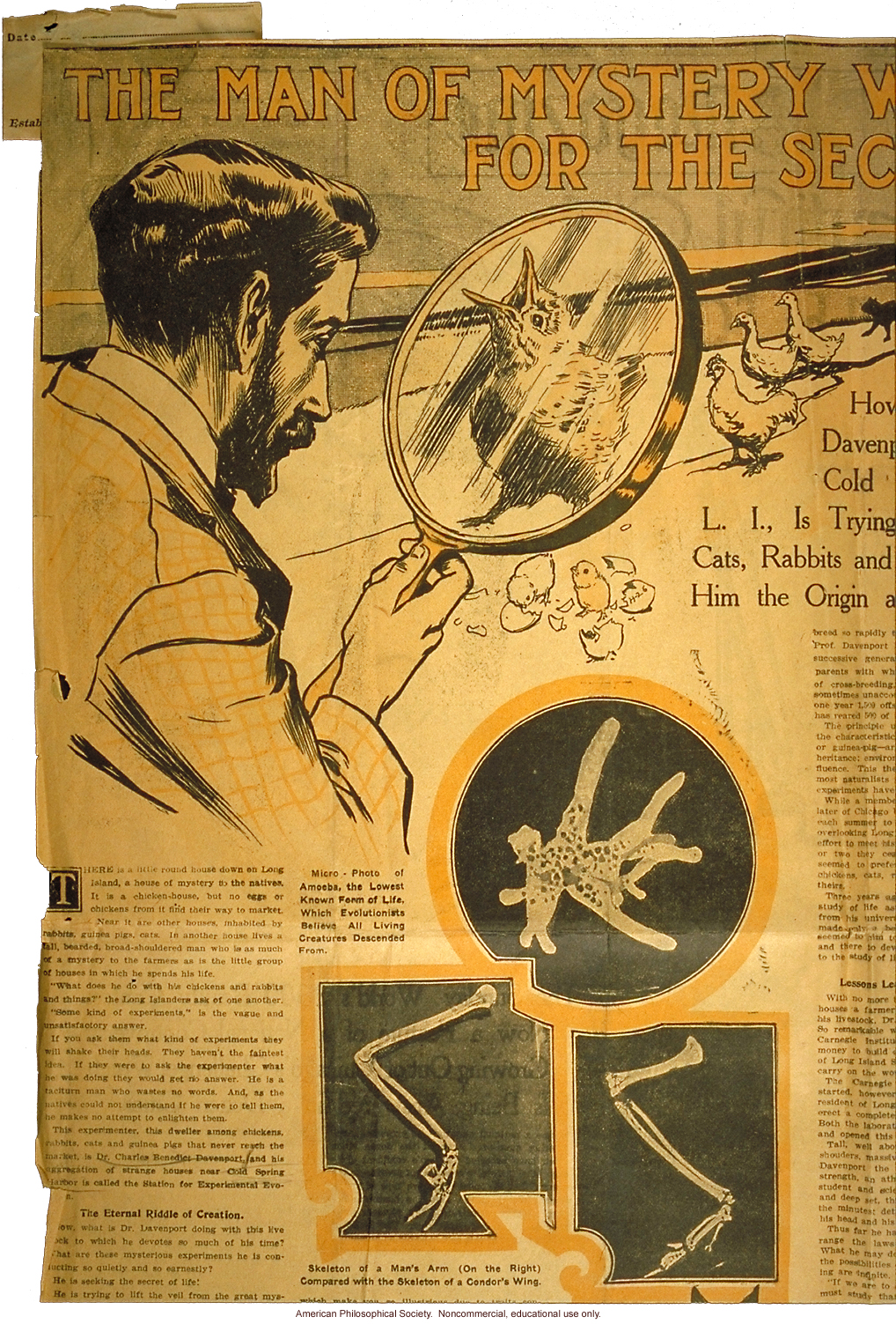 &quote;The man of mystery who is searching for the secret of life,&quote; The World Magazine, article on Charles Davenport