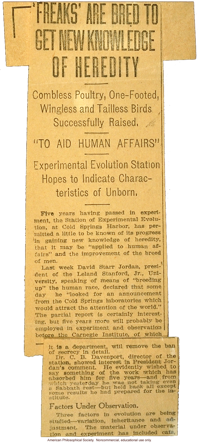 &quote;'Freaks' are bred to get new knowledge of heredity,&quote; New York American article on the Station of Experimental Evolution