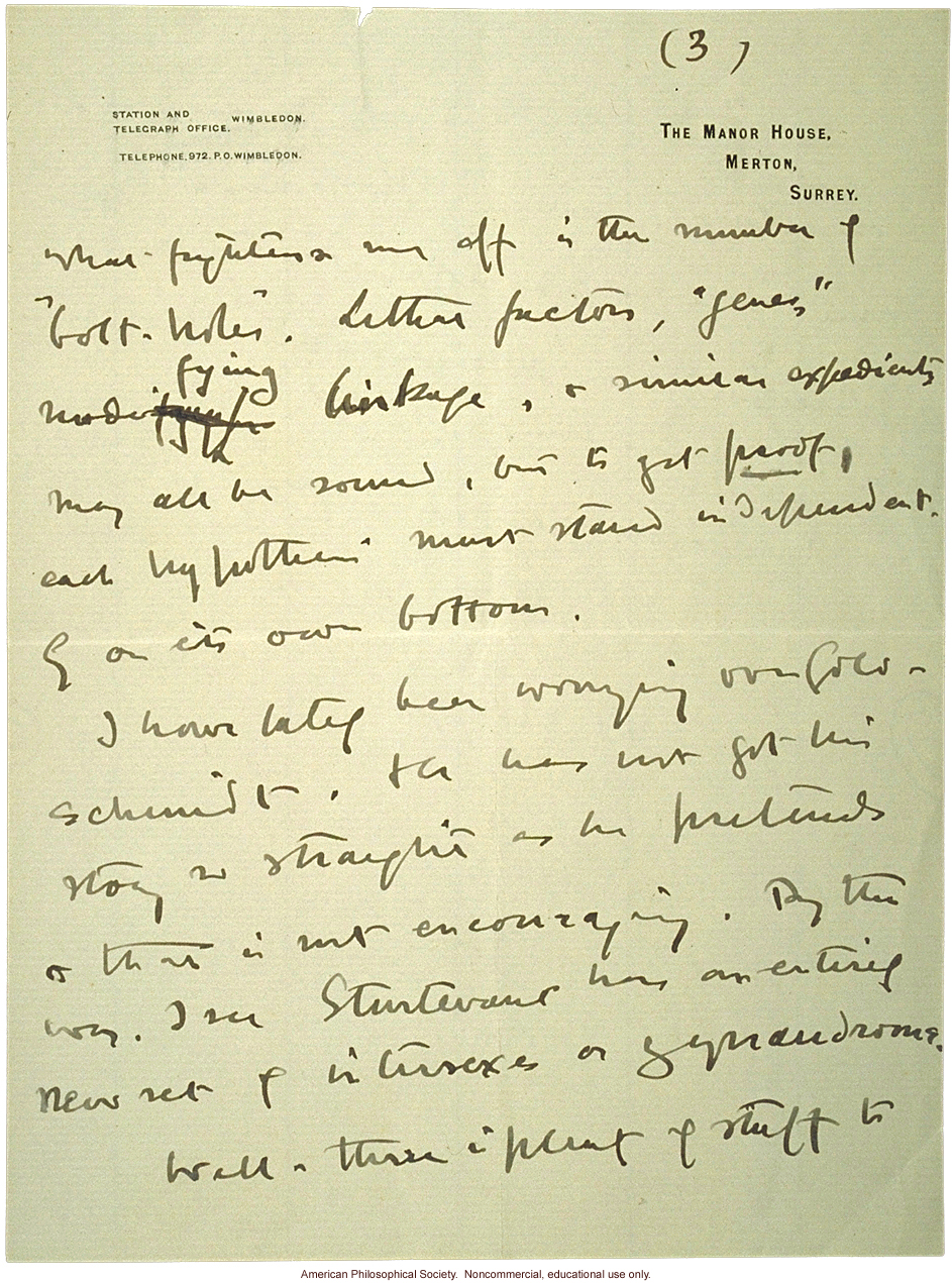W. Bateson letter to C. Davenport about eugenics and T. H. Morgan