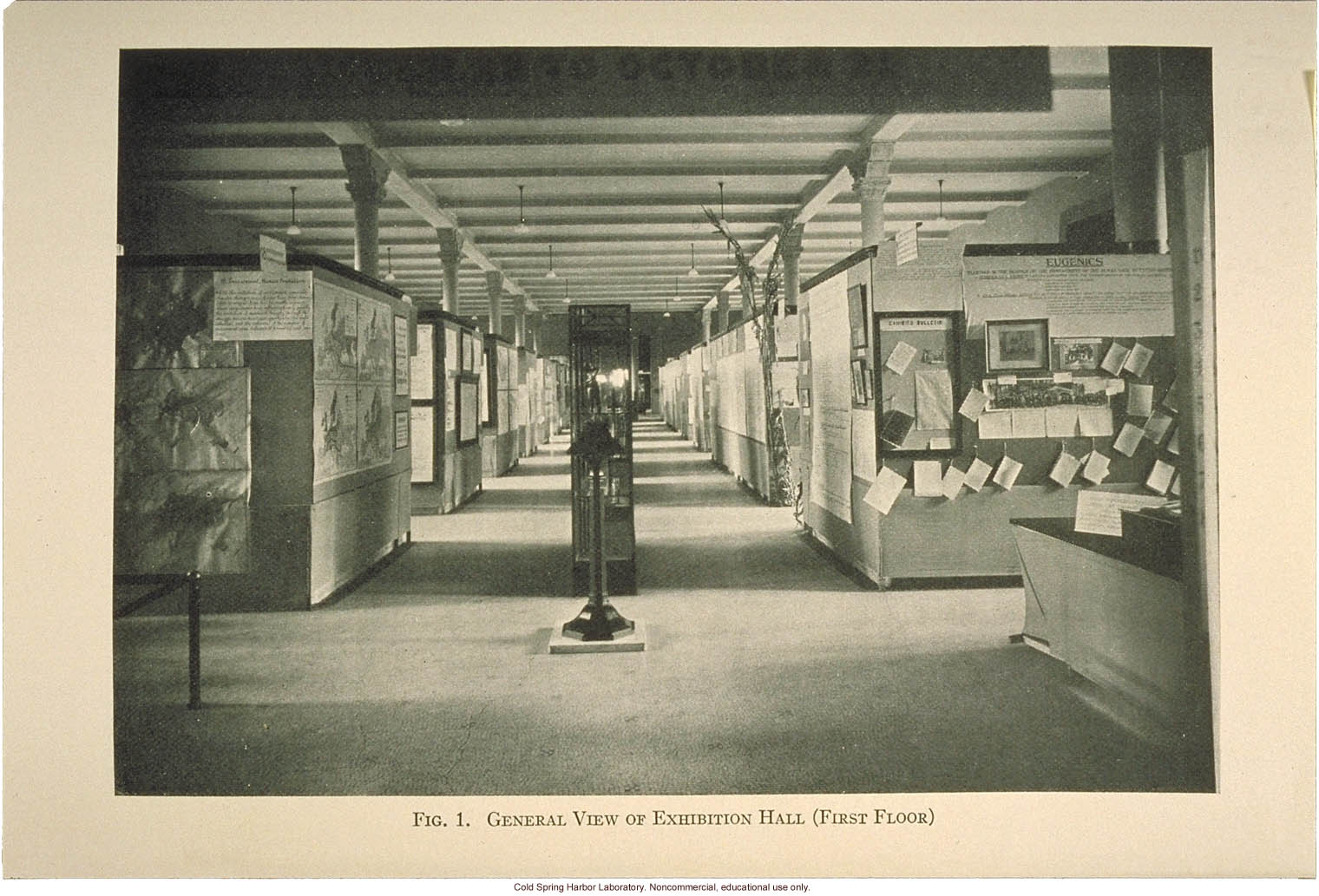 &quote;General view of exhibition hall (first floor)&quote;