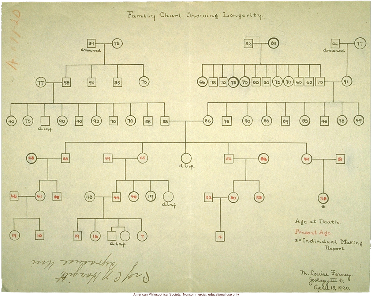 Student report on the heredity of longevity, example 3
