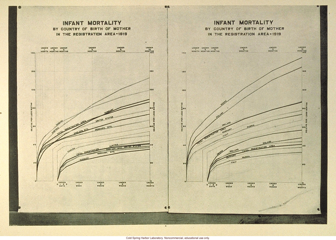 Infant mortality rates in the US by nationality of mother