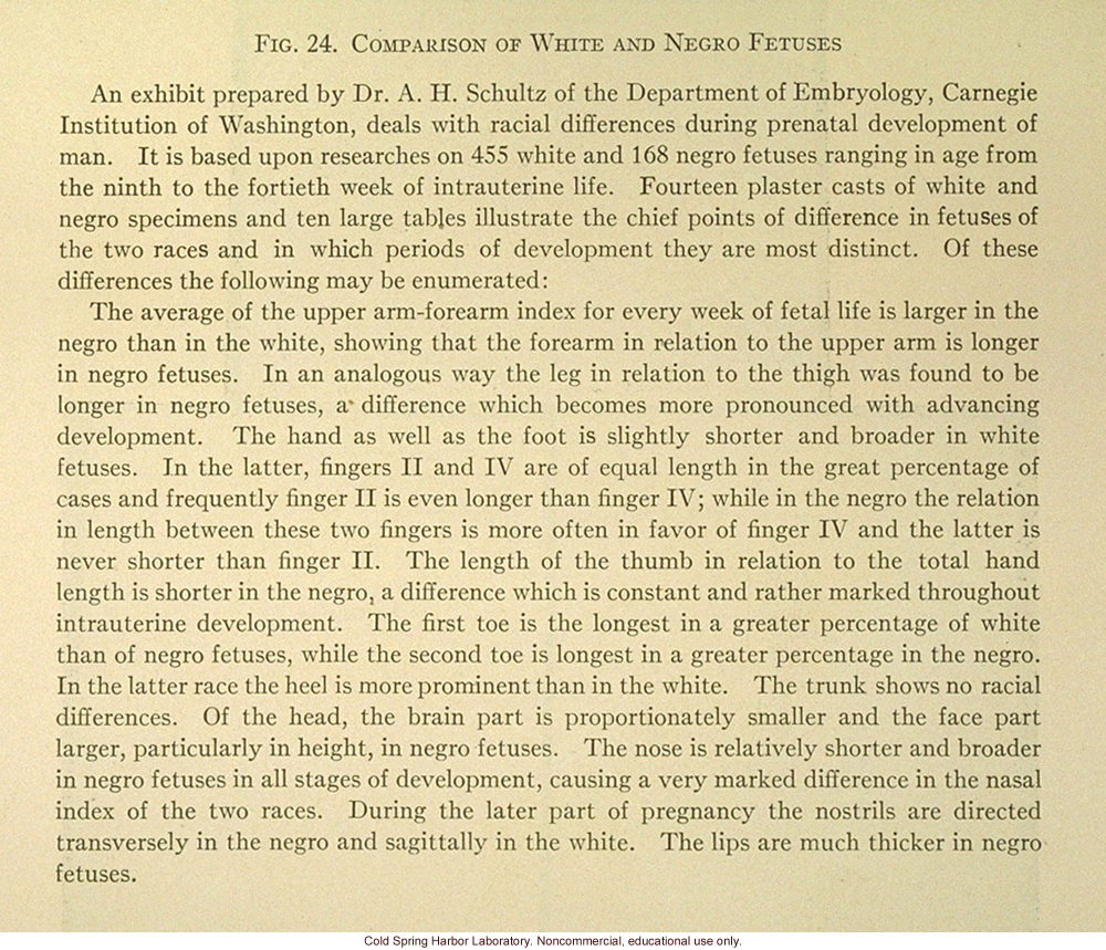 &quote;Comparison of white and negro fetuses&quote;