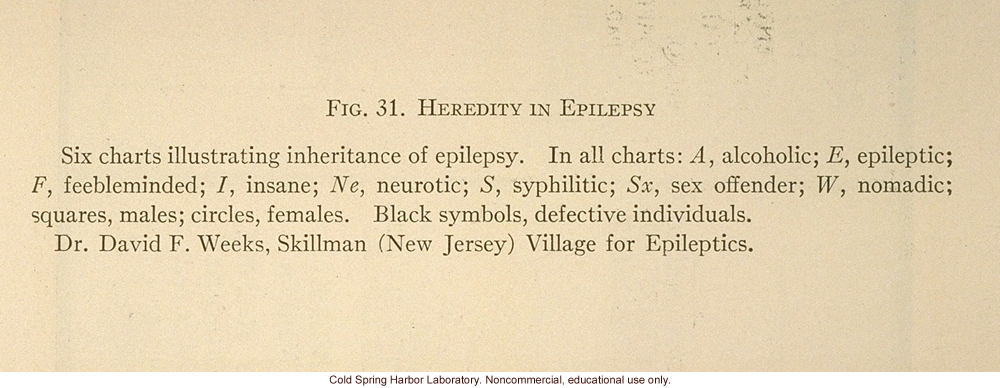 &quote;Heredity in epilepsy,&quote; Fig. 31