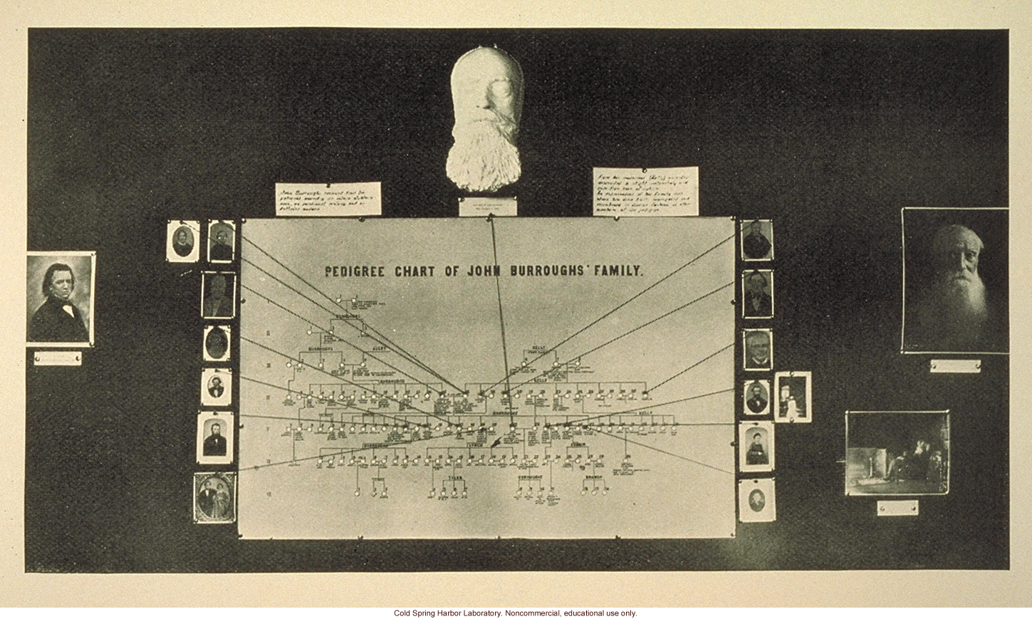 &quote;Pedigree chart of John Burroughs' family&quote;