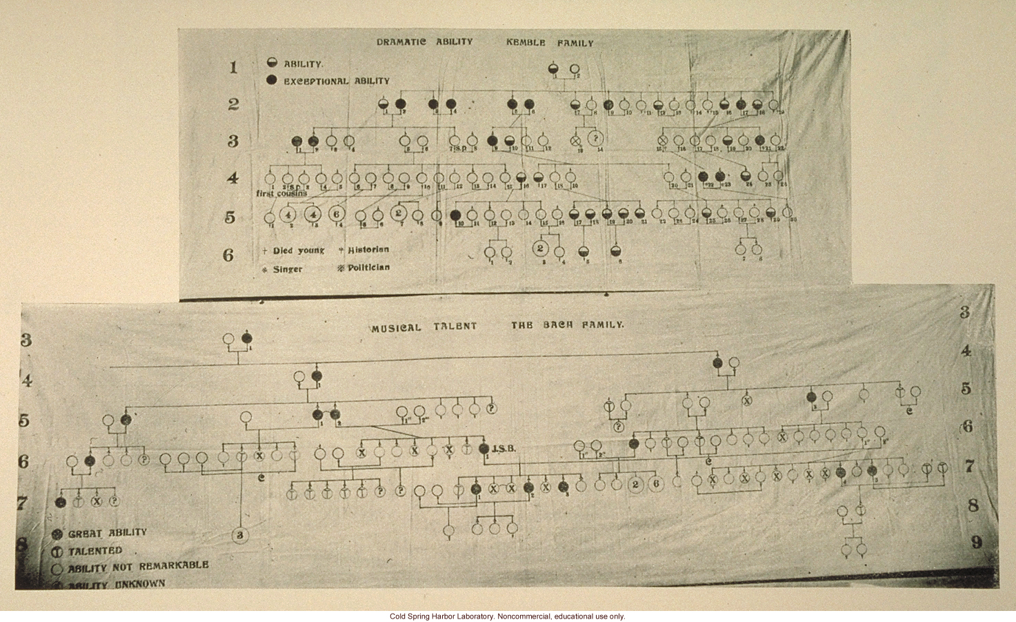 Pedigrees of dramatic ability and musical talent