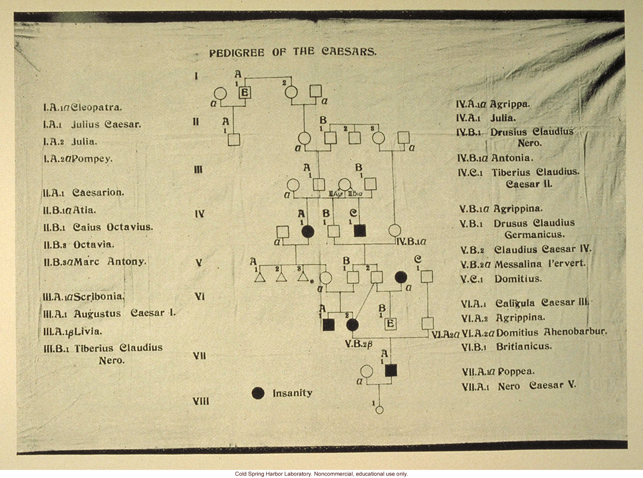 &quote;Pedigree of the Caesars&quote;