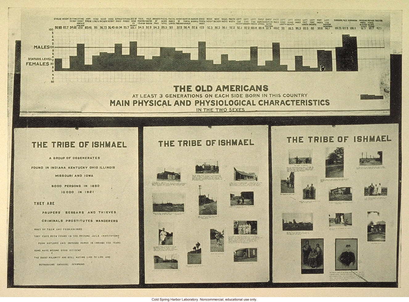 &quote;The Old Americans, main physical and physiological characteristics of the Tribe of Ishmael&quote;