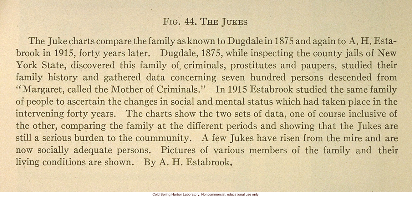 &quote;The Jukes,&quote; Fig. 44