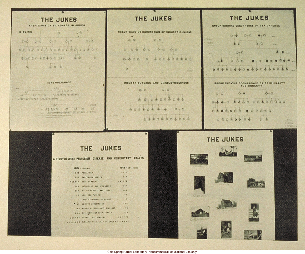 &quote;The Jukes,&quote; Fig. 44