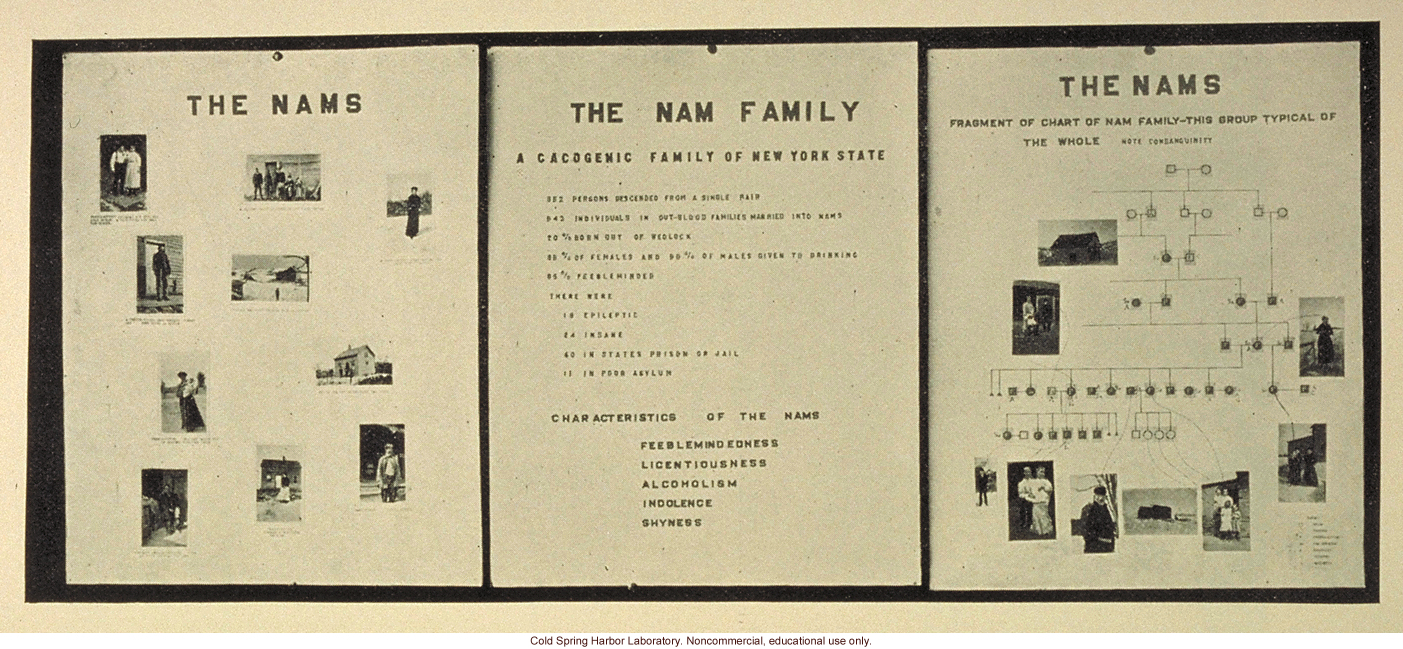 &quote;The Nam family,&quote; Fig. 45
