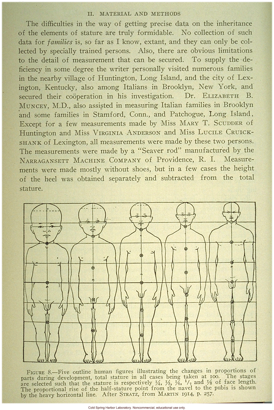 Data and outline of human figure during development