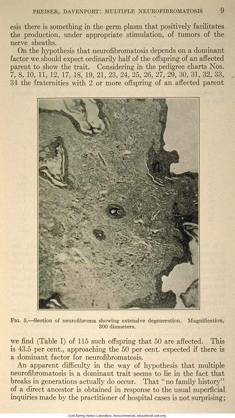 &quote;Multiple neurofibromatosis and its inheritance,&quote; by S. A. Preiser and C. B. Davenport, Eugenics Record Office