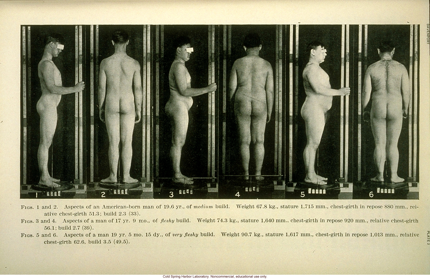 &quote;Body build: its development and inheritance,&quote; by C.B. Davenport, Eugenic Record Office