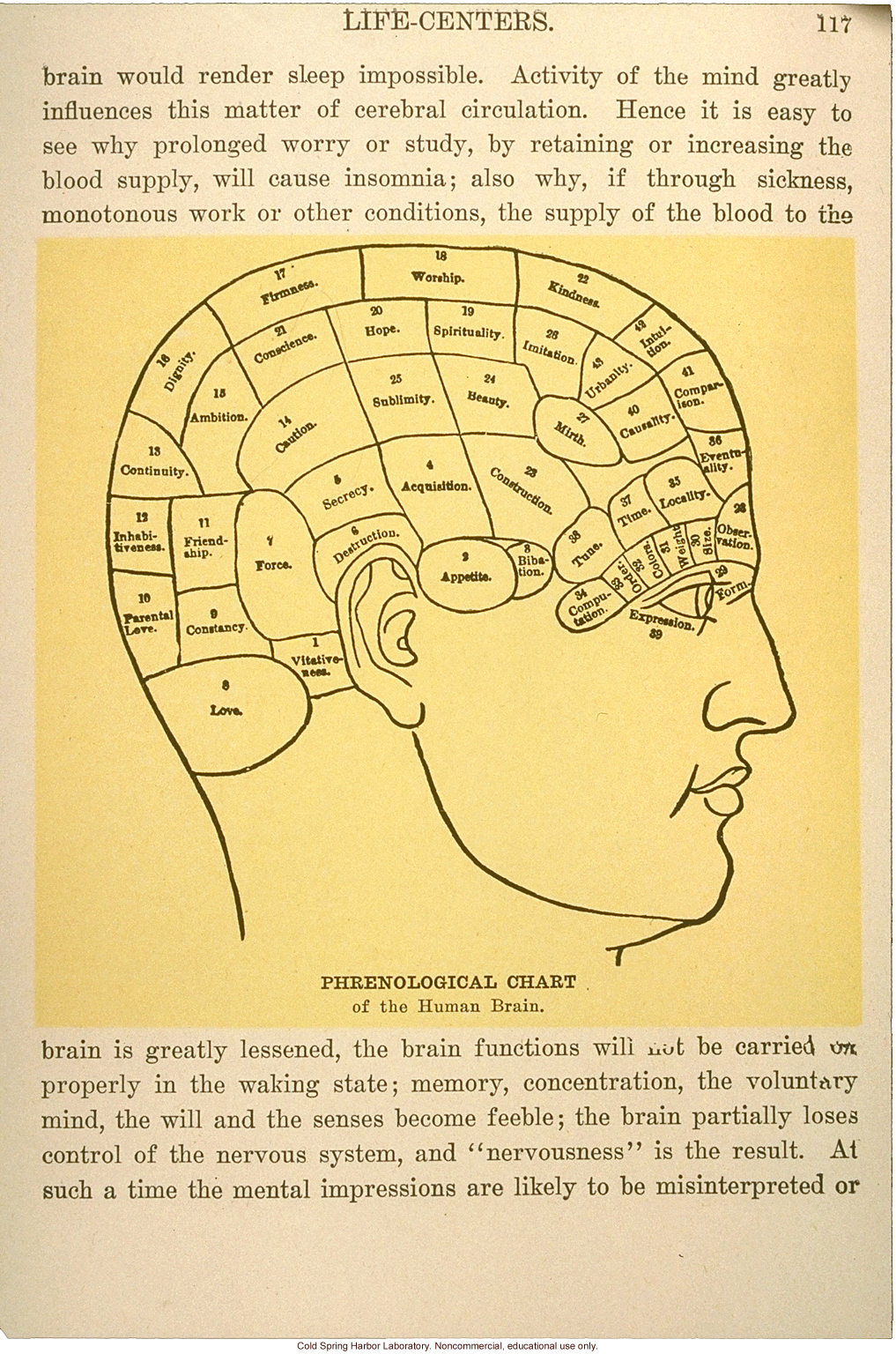 &quote;Phrenological chart of the human brain&quote;
