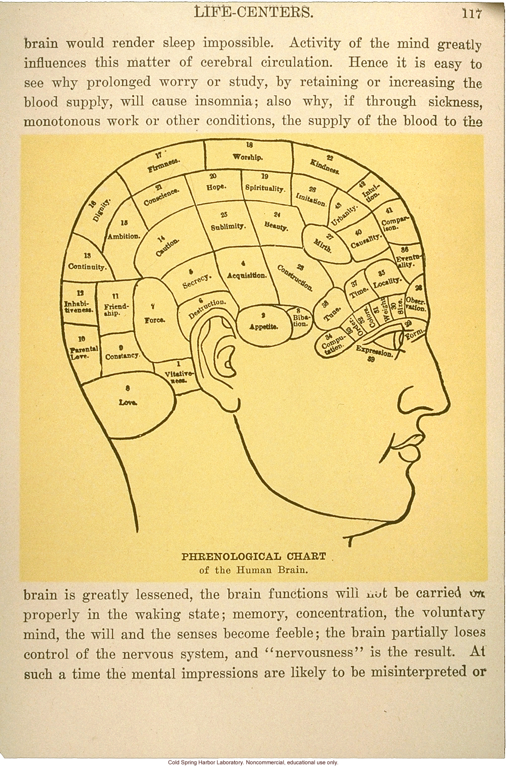 &quote;Phrenological chart of the human brain&quote;
