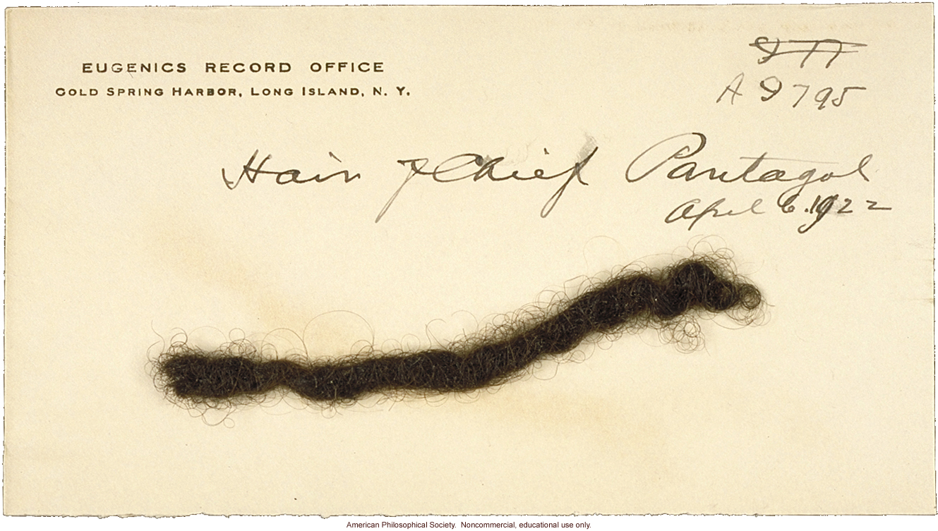 Chief Pantagal, circus performer, with hair color/texture pedigree and hair sample