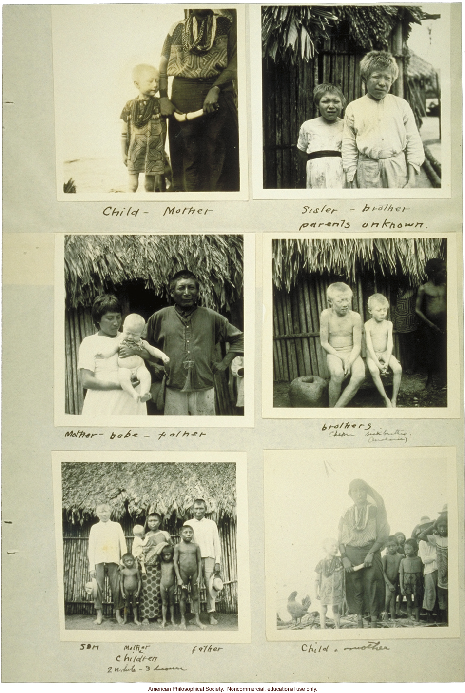 Photos of albino Indians of Panama, submitted by R.O. Marsh to the Eugenics Record Office