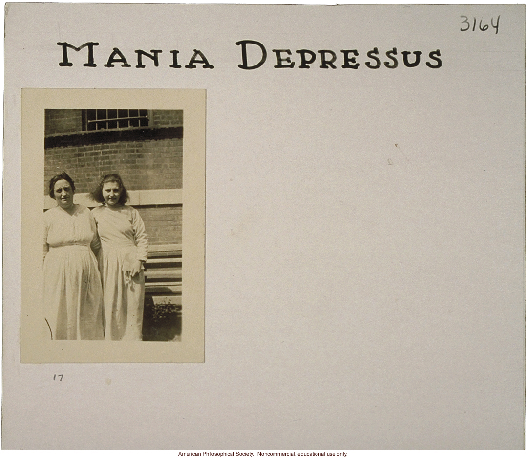 &quote;Mania depressus,&quote; flash card on genetic defects