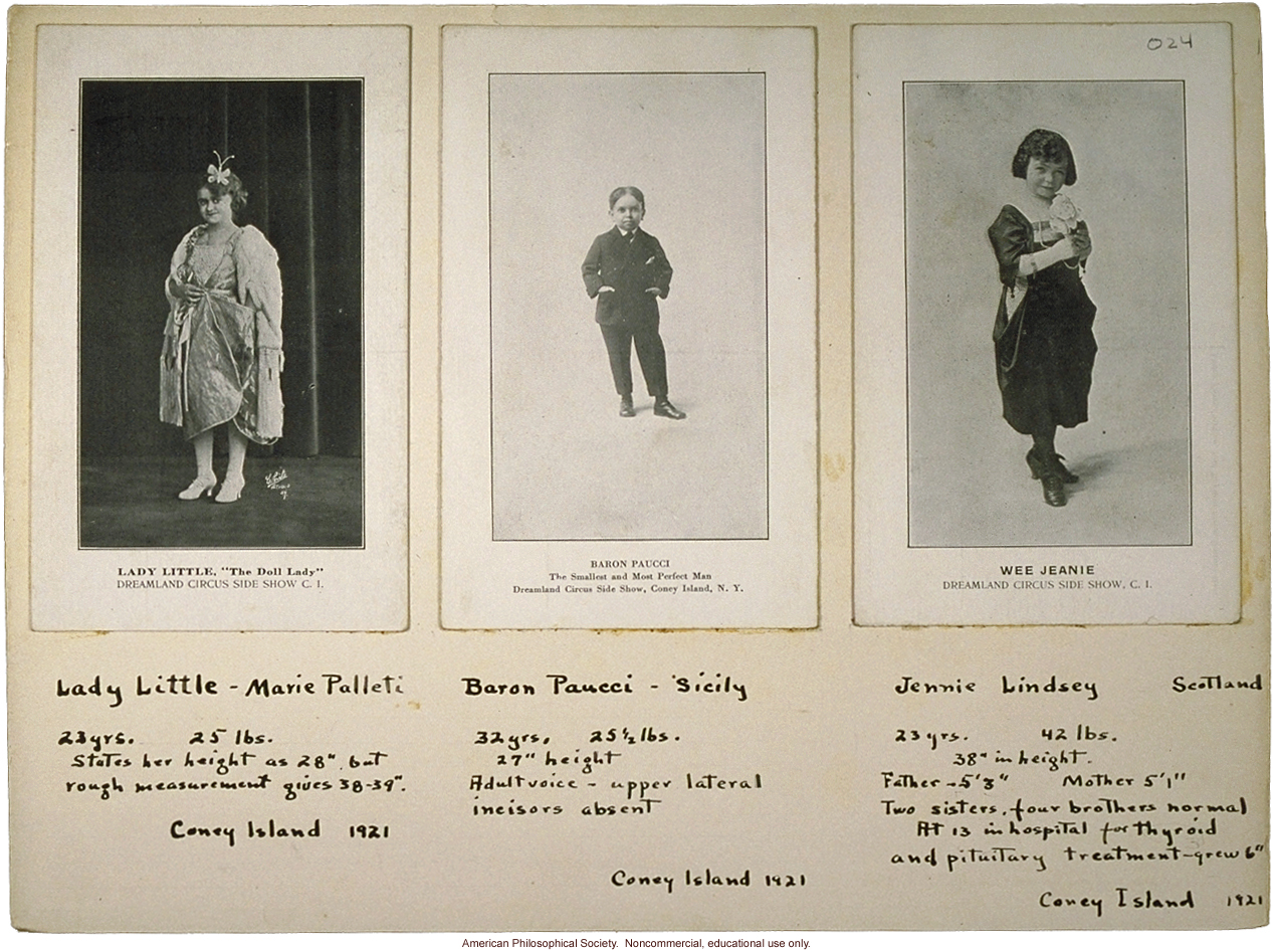 Three midgets, with notes, circus acts