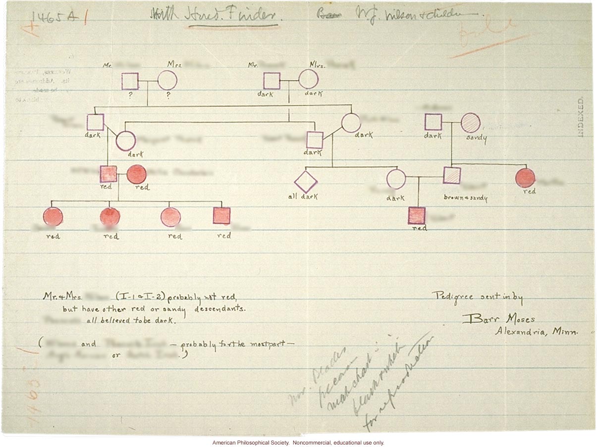 Pedigree of red hair family