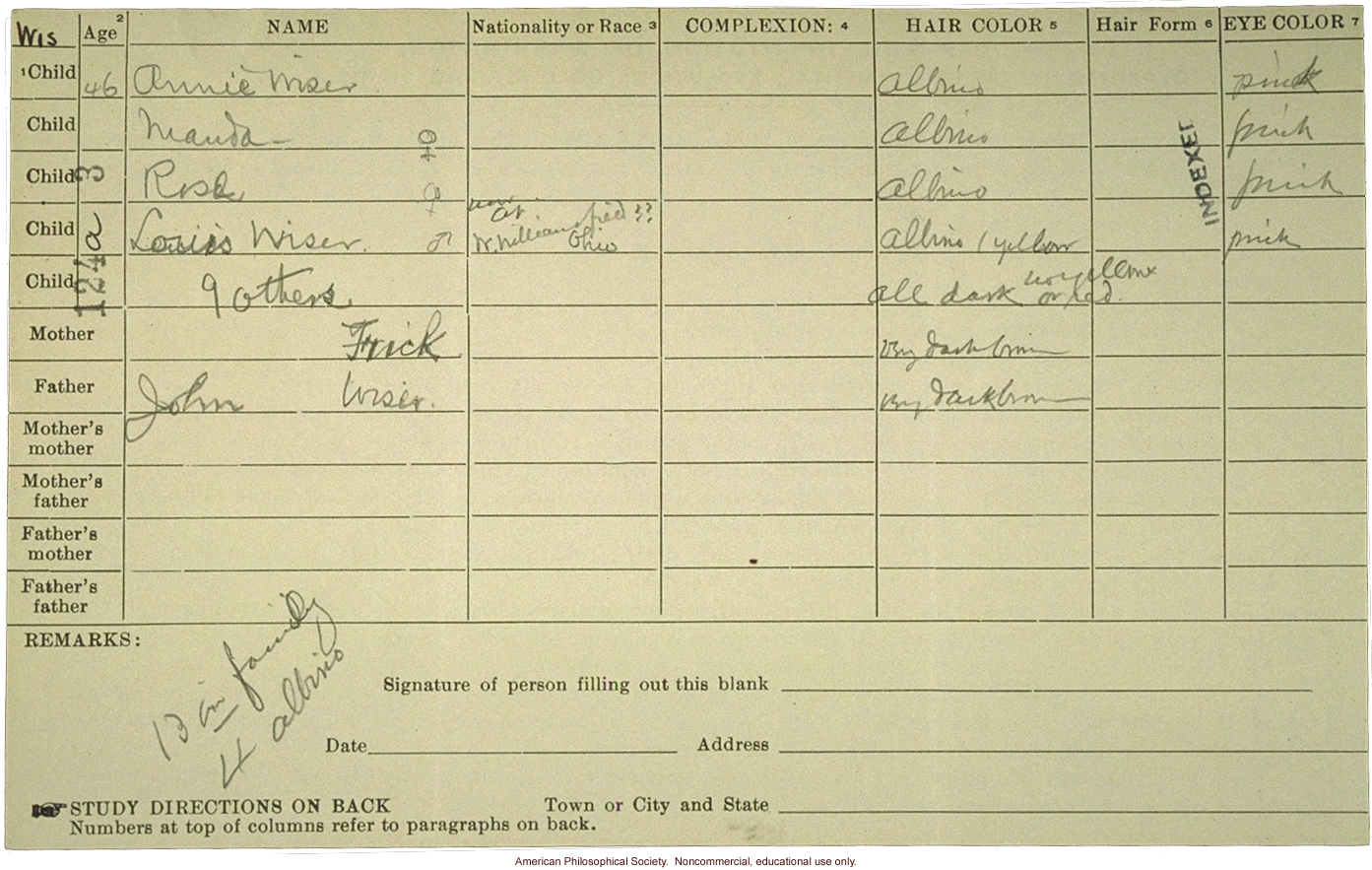 Roy Family pedigree, about albinism