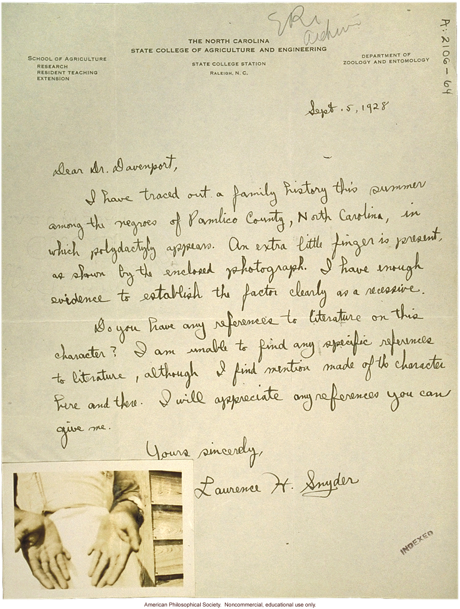 L. Snyder letter to C. Davenport, about polydactyly