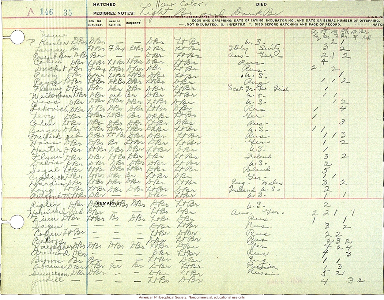 Hair color, light brown and dark brown