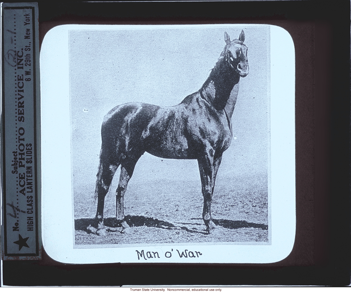 Man O' War, about horse genetics