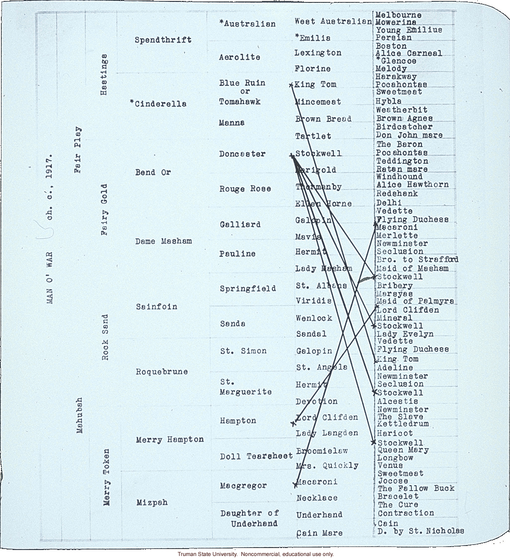 Pedigree of Man O' War, about horse genetics