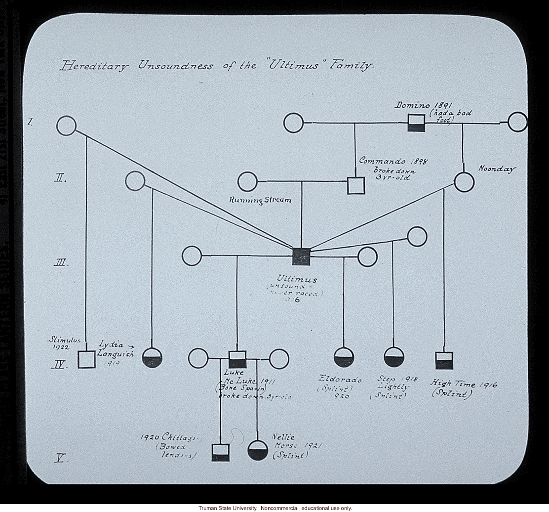 &quote;Hereditary unsoundness of the Ultimus family,&quote; about horse genetics