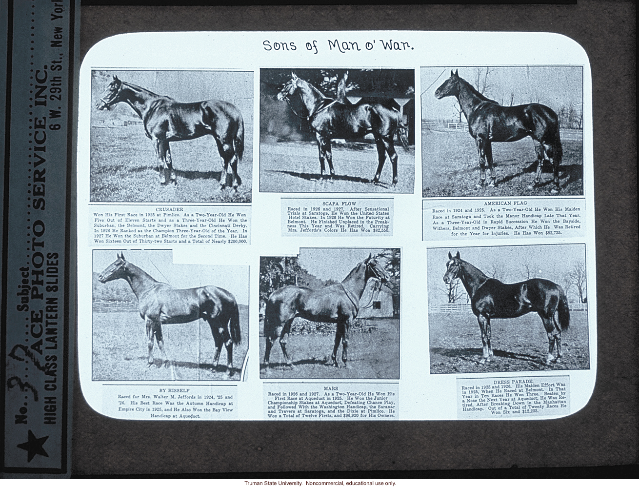 &quote;Sons of Man O' War,&quote; about Horse Genetics