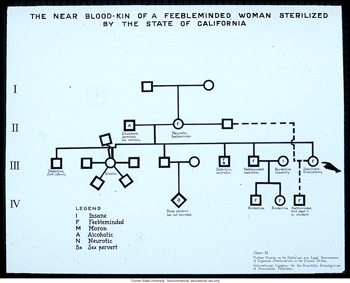&quote;The near blood kin of a feebleminded woman sterilized by the state of California&quote;