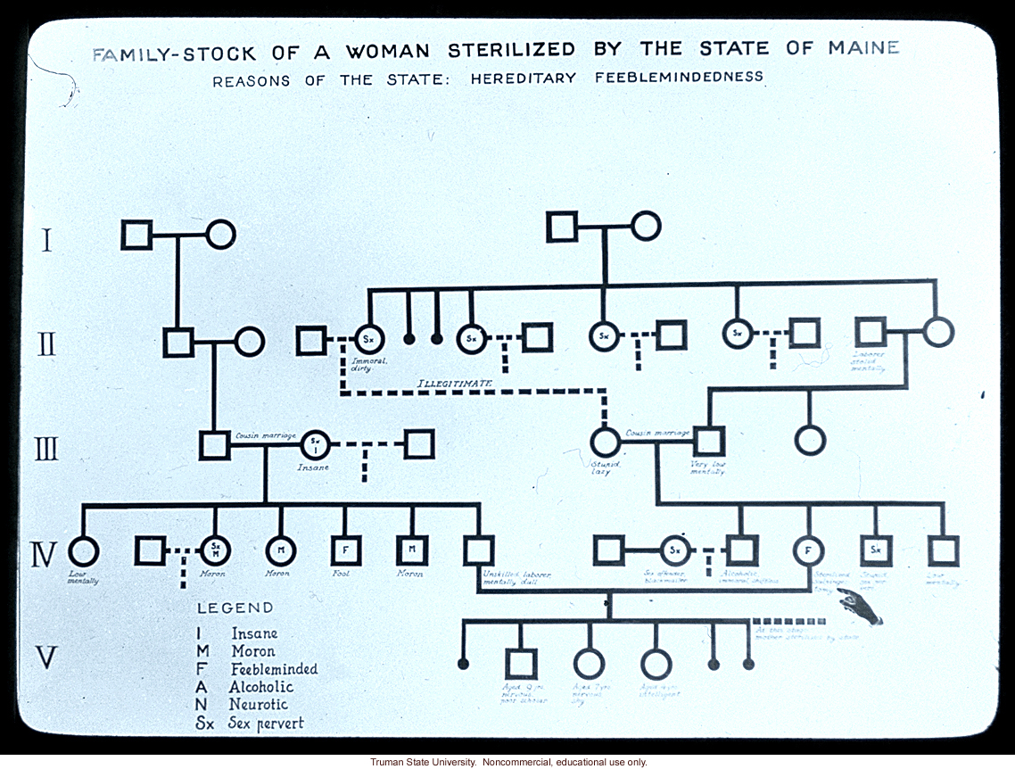&quote;Family-stock of a woman sterilized by the state of Maine&quote;