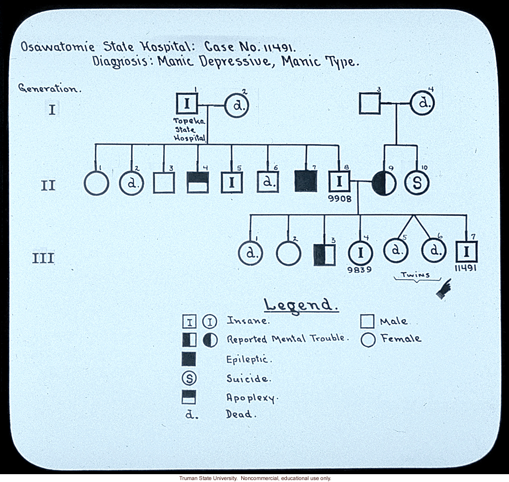 Pedigree:&quote; Osawatomie State Hospital: case no. 11491. Diagnosis: manic depressive, manic type&quote;