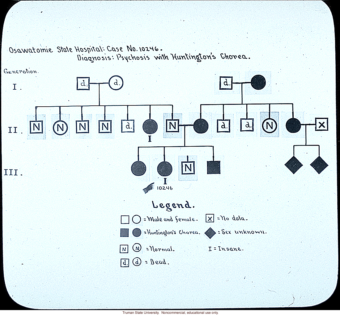 Pedigree:&quote; Osawatomie State Hospital: case no. 10246. Diagnosis: psychosis with Huntington's chorea&quote;