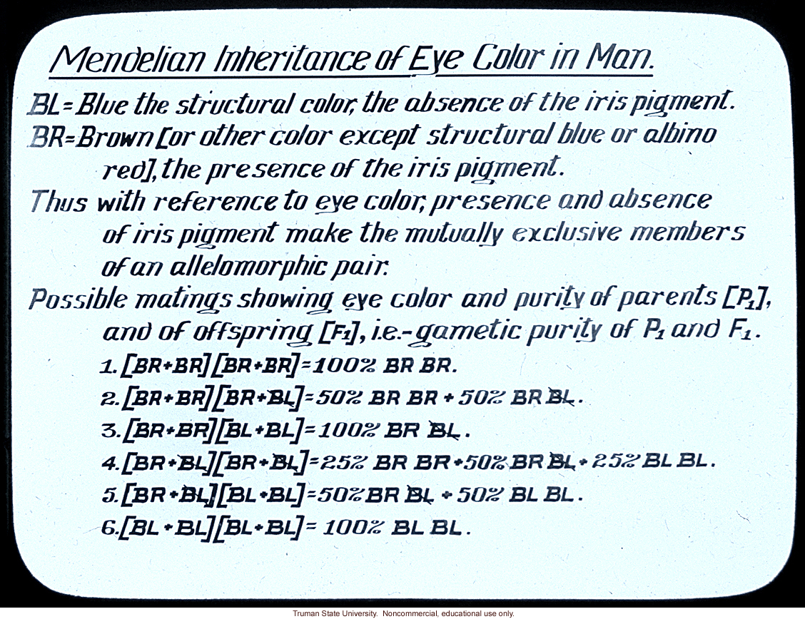 &quote;Mendelian inheritance of eye color in man&quote;