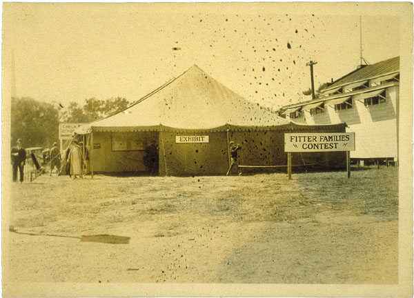 Fitter Families exhibit/exam tent, Eastern States Exposition, Springfield, Massachusetts