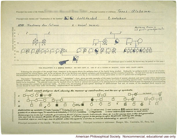 Student report and Eugenics Record Office  Family Tree Folder on &quote;sinisterity&quote; (left-handedness)
