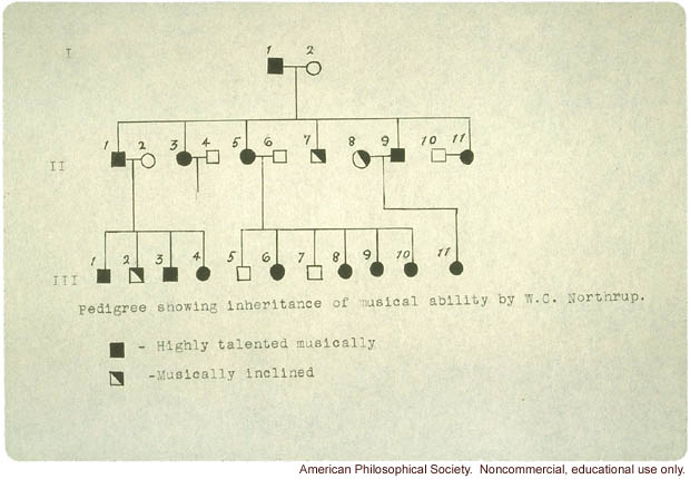 Student study of inheritance of musical ability, including pedigree